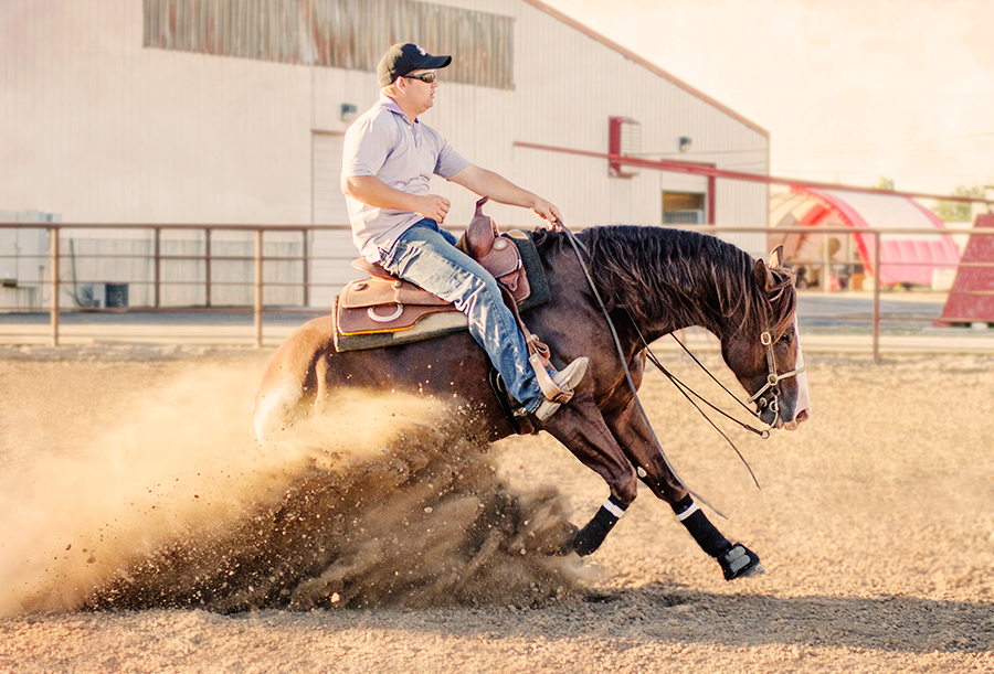 horse-training-ogden-utah horse training ogden utah